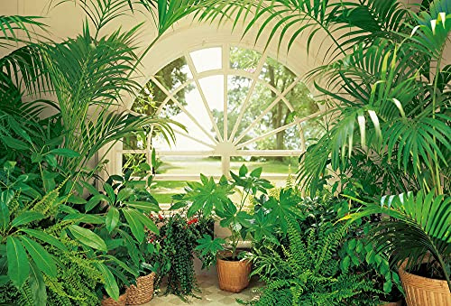 Fototapete 3D-Effekt Pflanzen Fenster Wohnzimmer Schlafzimmer | 3,84 m x 2,6 m | Grün, Weiß, Braun