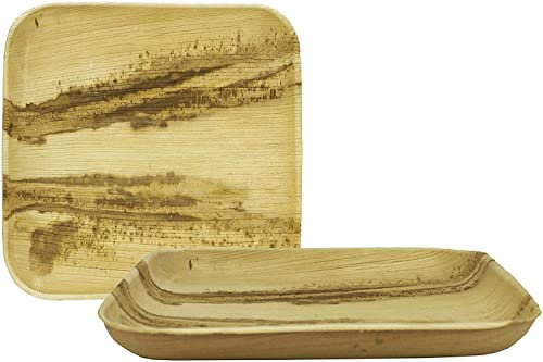 ECONX Disposable Palm Leaf Plates | 6inch 15cm 6PC Square Shape Biodegradable Plates | Disposable Wood Plates, Eco-Friendly for Picnics, BBQ, Weddings, Parties, Events