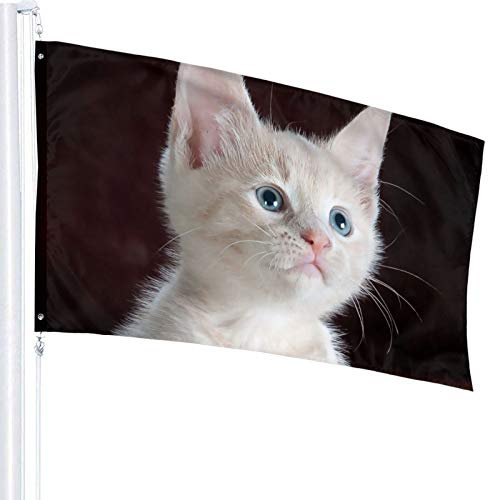 Butterfly On Dog Nose Playful Flag 3x5 Ft Outdoor Double Sided 100% Polyester Duty Durable Flags With Preset Hole For Home Office Garden Holiday Decorations