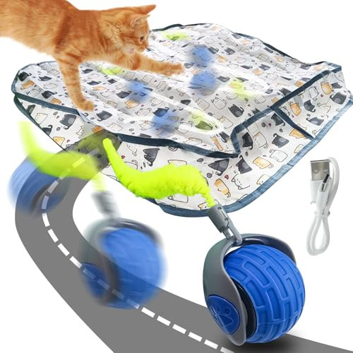 OneNine 2 In 1 Simuliertes Interaktives Jagdkatzenspielzeug, Interaktives Katzenspielzeug Matte, mit Katzenspielzeug Ball Elektrisch, Spielteppich Katze, Katzenspielzeug Set
