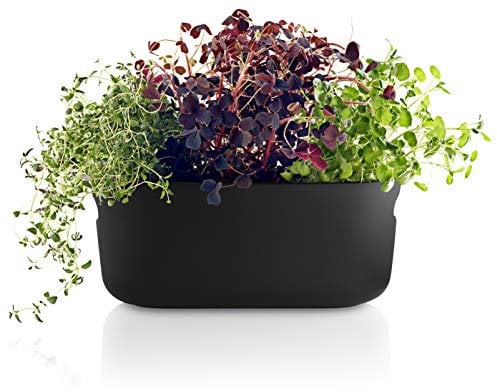 EVA SOLO | Selbstbewässernder Herb-Organiser black | Verhilft Kräutern zu einem langen Leben | Schwarz