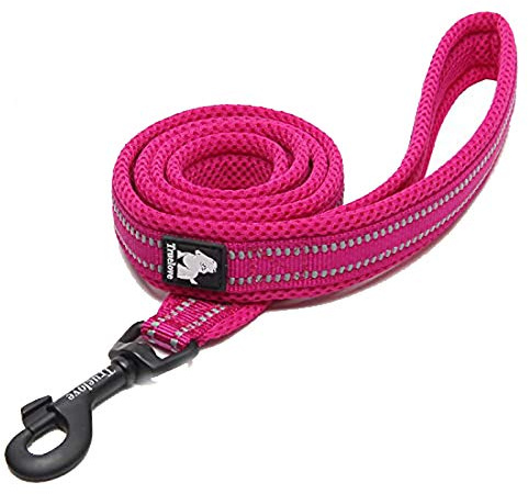 WINHYEPET Dog Leash Nylon Reflective,110cm Length(Fushcia,L) | Truelove Comfortable Handle Lead Puppy Training Walking Rope Easy Control Suitable Small Medium Large Breeds
