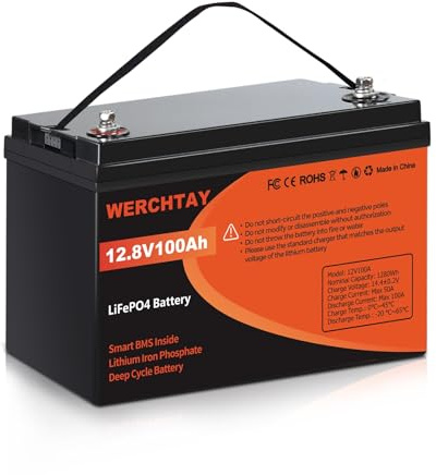 12V100Ah LiFePO4 Lithium Batterie, 100A BMS, MAX 1280W Leistung25000 Zyklen Deep Cycle Lithium Batterie Akku, Unterstützt Serien/Parallelschaltung, für Wohnmobil, Solar Home System