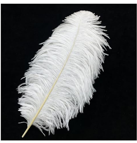 TSWNG Straußenfedern Groß 65-70cm, Deko Federn Zum Basteln Weiß, Federn Natur Groß, Strauß Feder für Weihnachten Hochzeit Party Fest Karneval Zuhause Tischdekoration DIY Deko