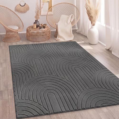 Paco Home Teppich Wohnzimmer Schlafzimmer Hochflor Weich Uni 3D-Optik Pflegeleicht Modernes Design Waschbar Anthrazit, Grösse:200x280 cm