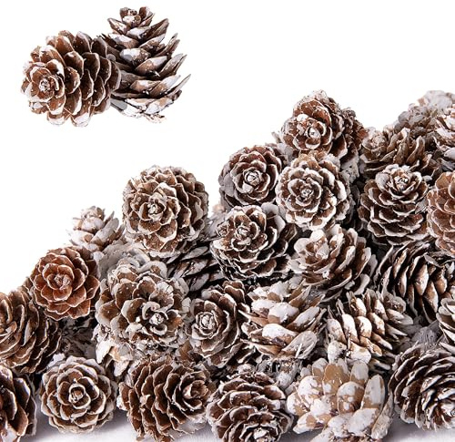 Esshogo 30 Stück 3-4cm Tannenzapfen, Mini Weihnachten Tannenzapfen, Natürliche Kiefernzapfen Deko, Natürlichen Schnee Tannenzapfen Deko, Tannenzapfen weiße Spitze