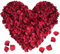XCOZU Rosenblätter Kunstblumen, 3000 Stück Rot Rosen Blütenblätter Rosenblüten Künstlich Seide Streublumen Konfetti, Romantische Deko für Hochzeit, Party, Bad, Geburtstag, Valentinstag