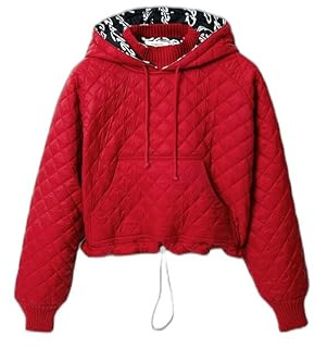 Desigual Damen Strawberry Sweat_Kokoon 3001 Strawberry Sweater, Rot, M EU