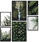 Papierschmiede® Mood Poster Set Wild Green, Fertiges Bilder Set mit Rahmen (Holz, schwarz), Wohnzimmer Deko Schlafzimmer, 2x DIN A3 und 4x DIN A4, Pflanzen Natur Grün