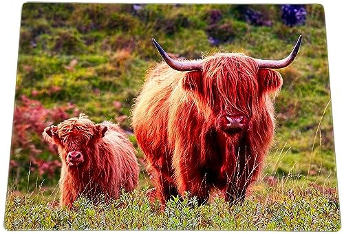 Glass Chopping Board 40x30cm Highland Cow & Calf Scottish Coo Animal Worktop Saver Gift