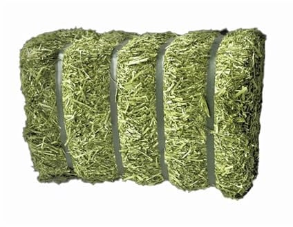 Eivolution Bio Luzerneballen 20 kg für Hühner - Beschäftigungsfutter | Gepresstes Luzerneheu ohne Zusätze, Hoher Proteingehalt & Rohfaser, EU-Bio-Zertifiziert, Gentechnikfrei