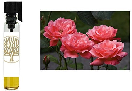 100% Pure Tea Rose Absolute Oil (1ml)