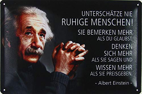 Blechschild 20x30cm gewölbt Unterschätze nie ruhige Menschen Zitat Einstein Spruch Sprüche Deko Geschenk Schild