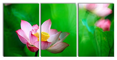 Pixxprint Wunderschöne Lotusblüten als XXL Leinwandbild in Übergröße 240x120cm Gesamtmaß 3 teilig, Wandbild, Kunstdruck