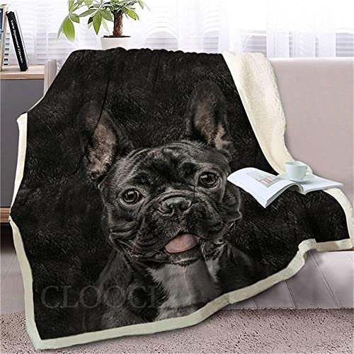 QSJSQTN Decke Wohndecken Kuscheldecken 150x200 Schwarze französische Bulldogge Decken Couchdecke Weiche Warme, Kuscheldecke Flauschig Sofa überwurfdecke, Kinderdecken Wolldecken für Couch Bett