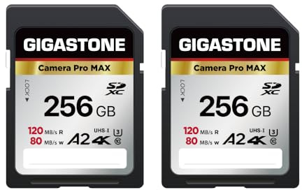 GIGASTONE A2 SDXC-Speicherkarte, 256GB, 2 Stück, 4K Pro, Geschwindigkeit 120 MB/s, kompatibel mit Canon Nikon Sony Panasonic U3 UHS-I Klasse 10 für 4K UHD Video, mit 2 Mini-Hüllen