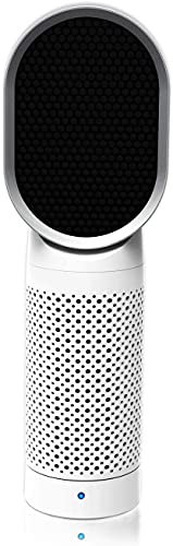 XACCBBA Quiet Mini Conditioner Desk Cooling Fan for Home,Portable Air Cooler, Office anion purifier usb micro desktop purifier mute air sterilizer (Color : White)