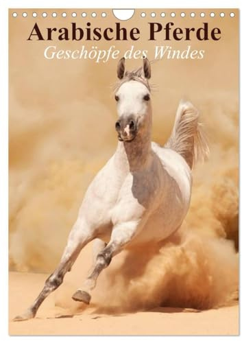 Arabische Pferde • Geschöpfe des Windes (Wandkalender 2026 DIN A4 hoch), CALVENDO Monatskalender: Die edlen Pferde der arabischen Wüste (CALVENDO Tiere)