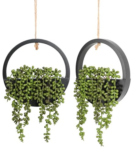 Floweroyal - Juego de 2 Plantas suculentas Artificiales para Colgar de 30,5 cm en Maceta con cordón de 21 cm para decoración de Pared Interior y Exterior (Negro)