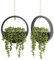 Floweroyal Lot de 2 plantes succulentes artificielles à suspendre de 30,5 cm en pot avec cordon de 21 cm pour décoration murale intérieure et extérieure (noir)