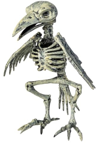 Horror-Shop Verrottetes Raben Skelett als Halloween Deko 20 cm