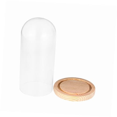 GLEAVI Cloches Verre Transparent Base pour Fleurs de Protection Décoratif Fait Main pour Saint Valentin et Décoration Intérieure