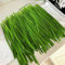 semi di erba cipollina - piante rare, biologici verdure perenne resistenti in vaso erbe medicinali copertura del terreno ortaggi 600pcs