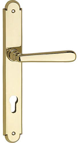 Türbeschlag Alt Wien | Türgriff für Haustür auf Langschild PZ 88 | Messing poliert