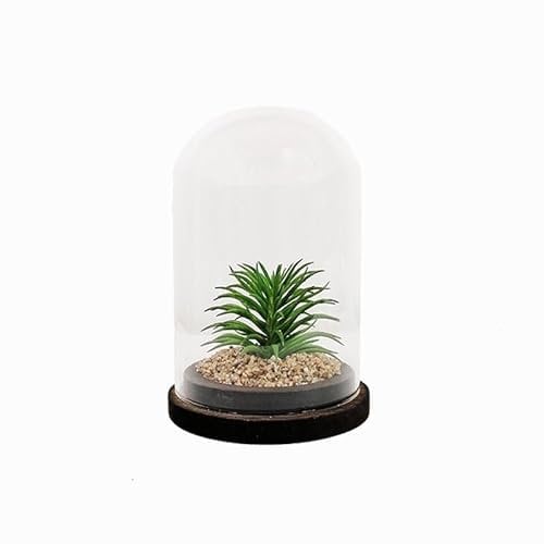 Silumen Plante Artificielle sous Cloche en Verre 13x19cm - Motif 3