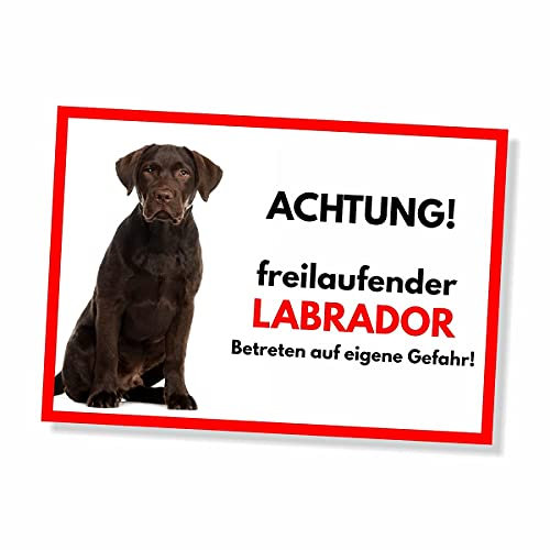 Labrador Schoko Freilaufender Hund Dog Schild Spruch Türschild Hundeschild Warnschild Geschenkidee Sicherheitsschild Hund Privatgrundstück Hundewarnung Warnung vor dem Hund