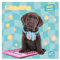 Grupo Erik Kalender 2025 Wandkalender 2025 Studio Pets Labrador Kalender 2025 Familienplaner 30 x 30 cm Jahreskalender Familienkalender 2025 12 Monate