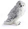 The Noble Collection Hedwig Collectors Plüschplüsch, 34cm
