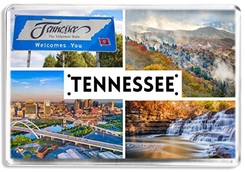 Tennessee - US State - Souvenir Tourist - Fridge Magnet - Novelty Keepsake Gift