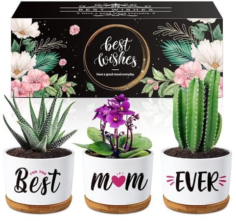 Buioata Birthday Gifts for Mum on Her Birthday, Mum Gifts from Daughter Son - Succulent Planters Best Mum Ever - Mummy Gifts for Mummy, for Mum from Kids