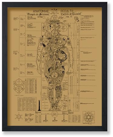 Poster Master Poster mit okkulter Anatomie im Vintage-Stil, Retro-Stil, menschlicher Körper, okkulte Kunst, Halloween-Kunst, Geschenk für Männer und Frauen, Gothic-Wanddekoration für Wohnzimmer,