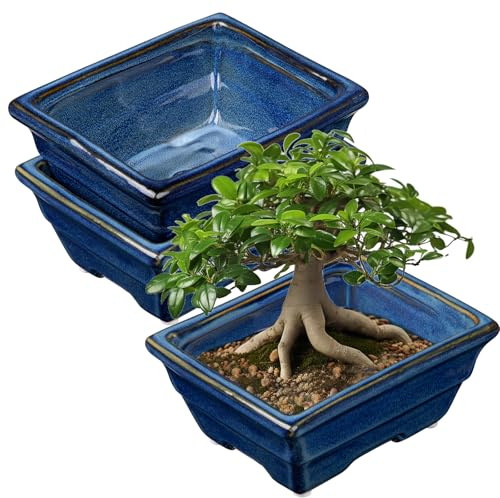 Villa Como Bonsai Pots Shallow Succulent Planters Set of 2, 6.3 Ceramic Indoor/Outdoor with Drainage Hole, Blue