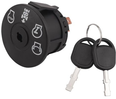 Erato Interrupteur d'allumage et de démarrage pour tondeuse à gazon interrupteur d'allumage pour tracteur de pelouse avec 2 clés remplacement du démarreur d'allumage 532193350, 193350, 6900 49P1