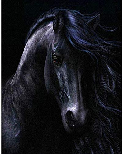 Yingxin34 Puzzle 2000 Teile Schwarzes Pferd Jigsaw Spiel Erwachsene Kinder Familie Dekompression Spielzeug-39.17x27.75 Zoll (99.5 x 70.5cm)