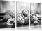 Pixxprint Herbsternte Kunst B&W, Leinwandbild 3 Teilig, Gesamtmaß: 120x80cm, Wandbild, Dekoration, fertig gespannt, Kein Poster