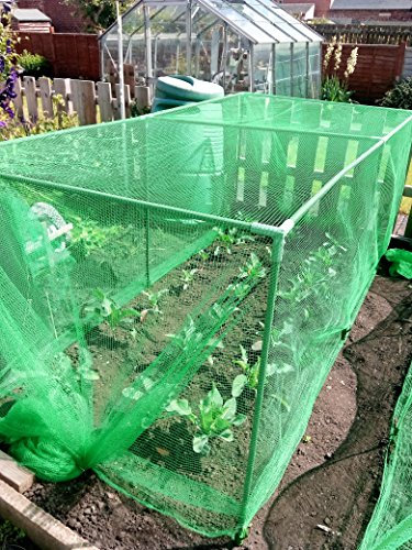 Fruit and Vegetable Protective Cage supplied with green Butterfly Netting (5.9m Green)