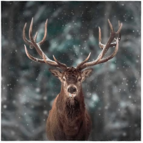Wildlife Hirsch Stoffservietten Winter Tiere Hirsch Waschbar Wiederverwendbar Küche Esstisch Servietten 1er Set 50x50cm