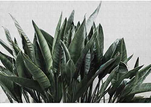 BRICOFLOR | Grun Fototapete | Palmen Tapete modern | Urban Jungle Fototapete Palmenblätter Muster weiß grün | 200 g/m² intissé premium | 270 x 400 cm