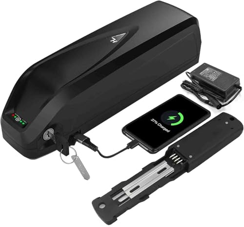 Batterie de vélo électrique 48V 15AH 17AH 20AH, Ebike Batterie 48V 15AH 17AH 20AH Haute Puissance Rechargeable Battery avec Chargeur pour 200W 500W 750W 1000W Moteu 48V20Ah,4pin