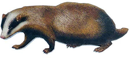 Miniblings Dachs bedruckt Brosche Holz Tier Wald Jäger Marder - Handmade Modeschmuck I Anstecknadel Button Pins