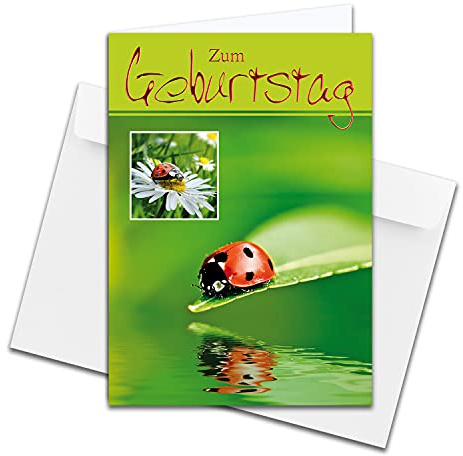 NEUSER PAPIER 1 Stück - XXL Glückwunschkarte zum Geburtstag, DIN A4 - große Geburtstagskarte - Set mit großem Umschlag DIN C4 - Marienkäfer
