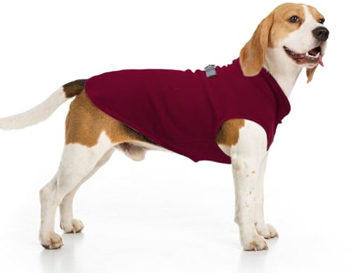 BEAUTYZOO Fleeceweste für Hunde – Winterjacke mit Kapuze und D-Ring für Leine – Warmes Mantelchen für kleine und mittelgroße Hunde