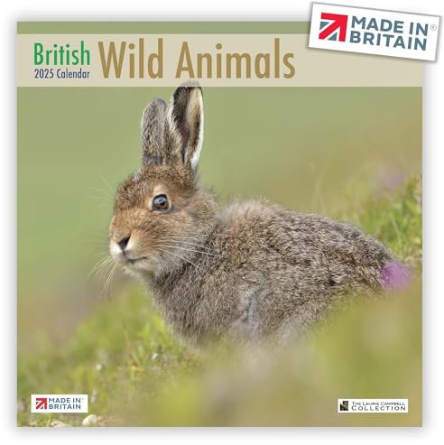 ALLTRADE Calendar 2025 British Wildlife 2025 Calendar UK Holidays Premium Large Wall MADE IN BRITAIN® Solar Energy on FSC® Paper Photos by LAURIE CAMPBELL Supports Tree Planting Great Gift