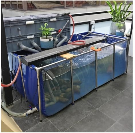 Fischteich für den Innenbereich – freistehendes Aquarium mit Stahlrahmen und durchsichtiger Sichtscheibe, Flexible PVC-Auskleidungen, ideales Zuchtbecken für Koi und Goldfische (80 x 50 x 35