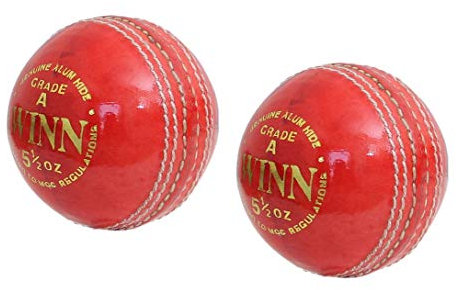 CW Winn Red Cricket-Bälle, echtes Leder, 2 Stück