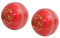CW Winn Red Cricket-Bälle, echtes Leder, 2 Stück